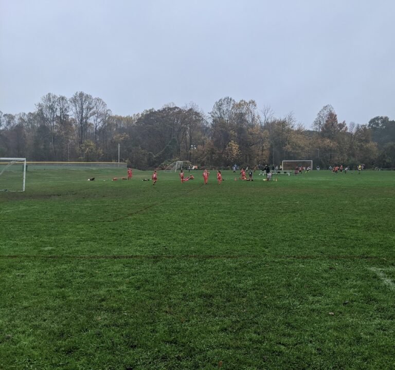 Soccer Field image 2