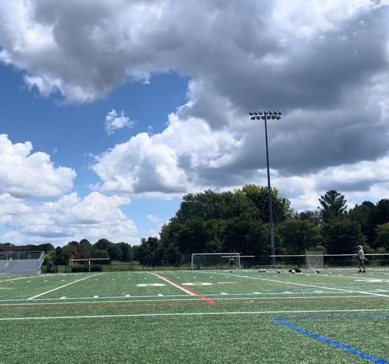 Soccer Field image 4