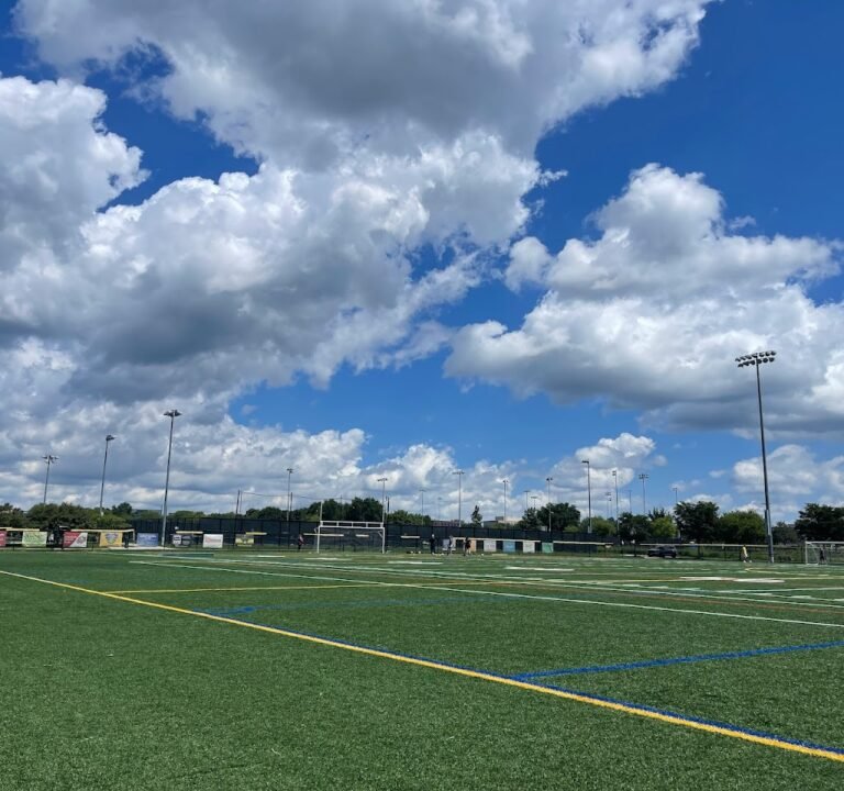 Soccer Field image 2