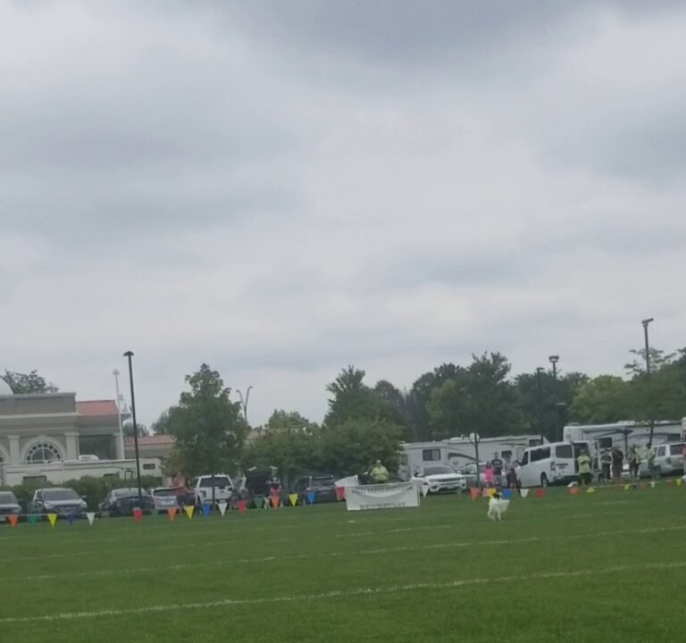 Soccer Field image 3