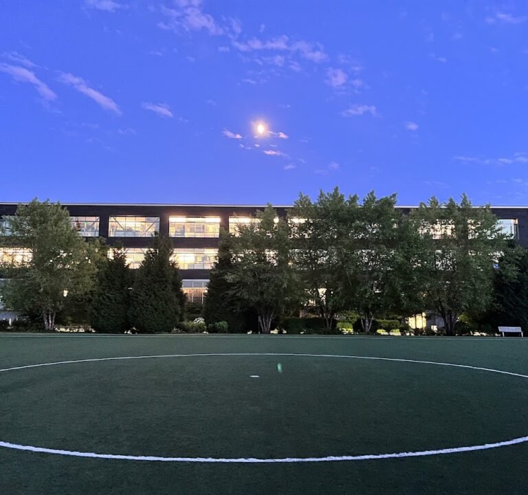 Soccer Field image 2