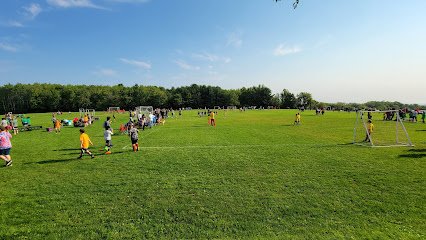 Soccer Field image 1