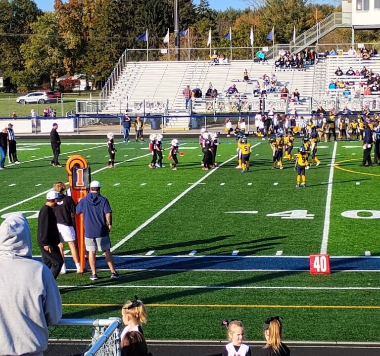 Soccer Field image 3