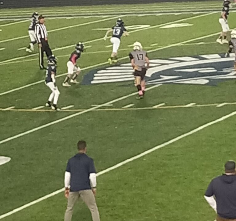 Soccer Field image 2