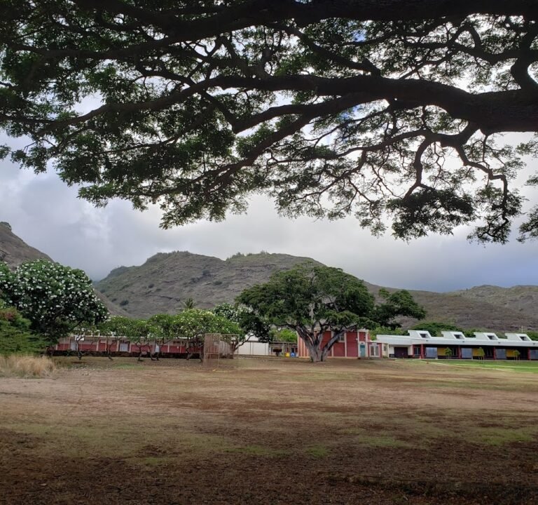 Soccer Field image 2