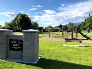 Soccer Field image 1