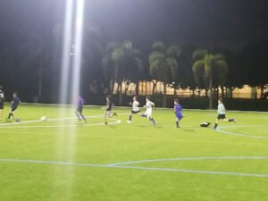 Soccer Field image 1