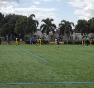 Soccer Field image 3