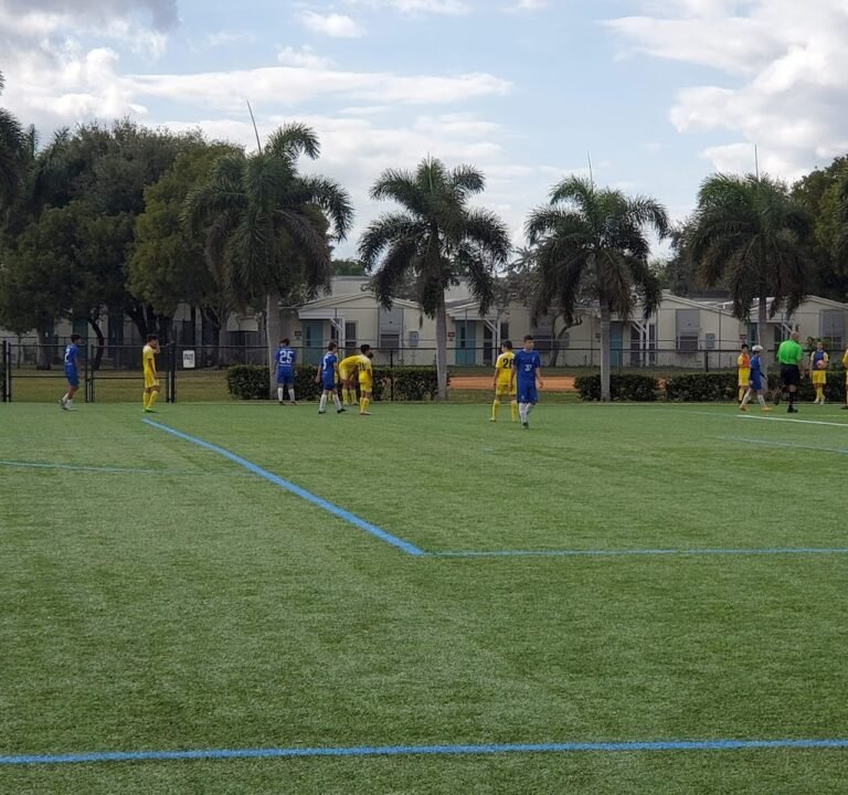 Soccer Field image 3