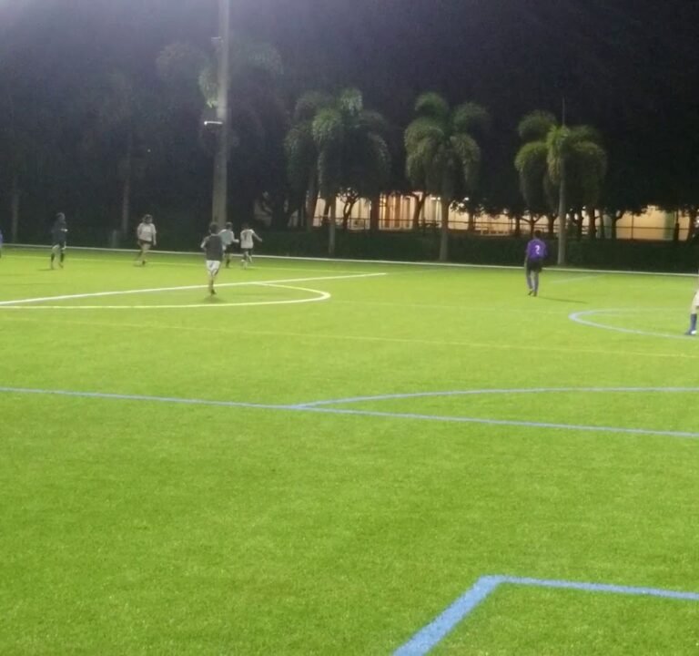 Soccer Field image 4