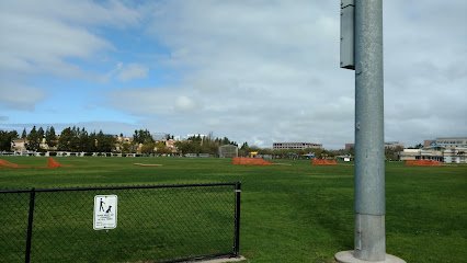 Soccer Field image 1