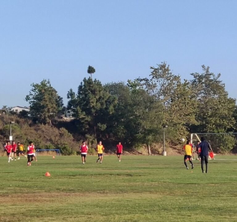 Soccer Field image 4