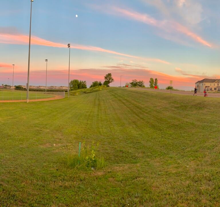 Soccer Field image 2