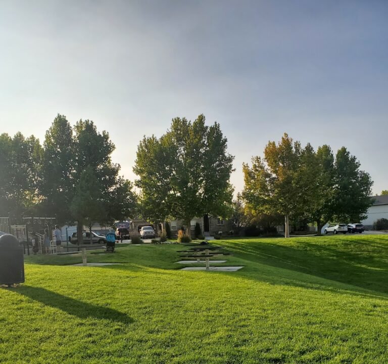 Soccer Field image 2