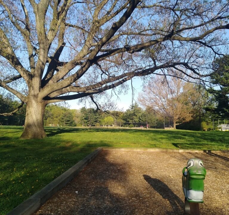 Soccer Field image 2