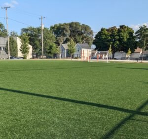 Soccer Field image 3
