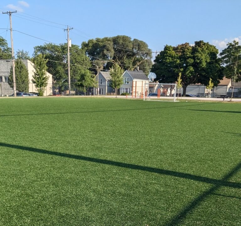 Soccer Field image 3