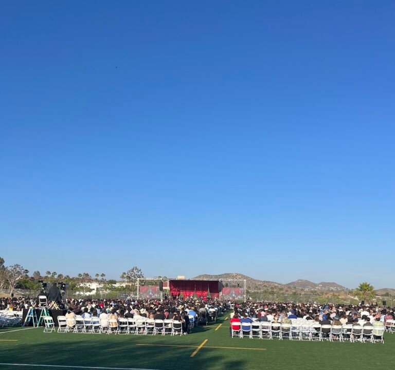 Soccer Field image 2