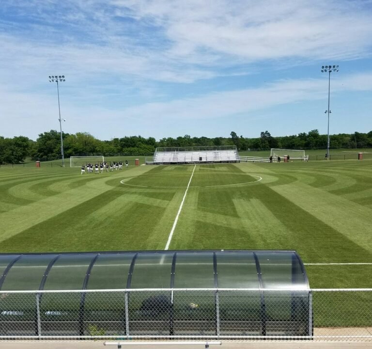 Soccer Field image 2
