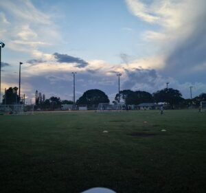 Soccer Field image 2