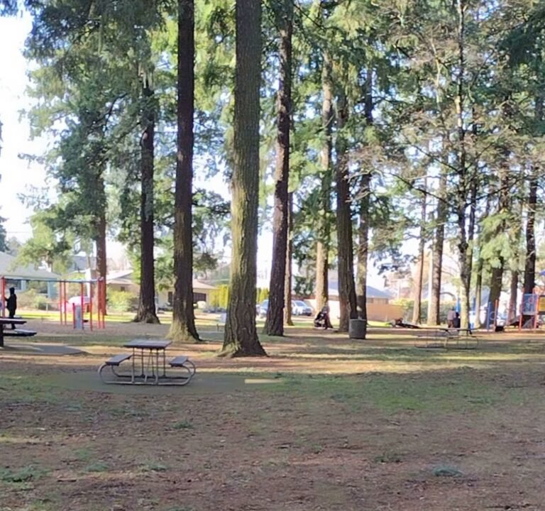 Soccer Field image 3