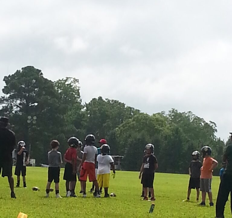 Soccer Field image 2