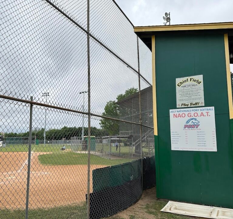 Soccer Field image 2