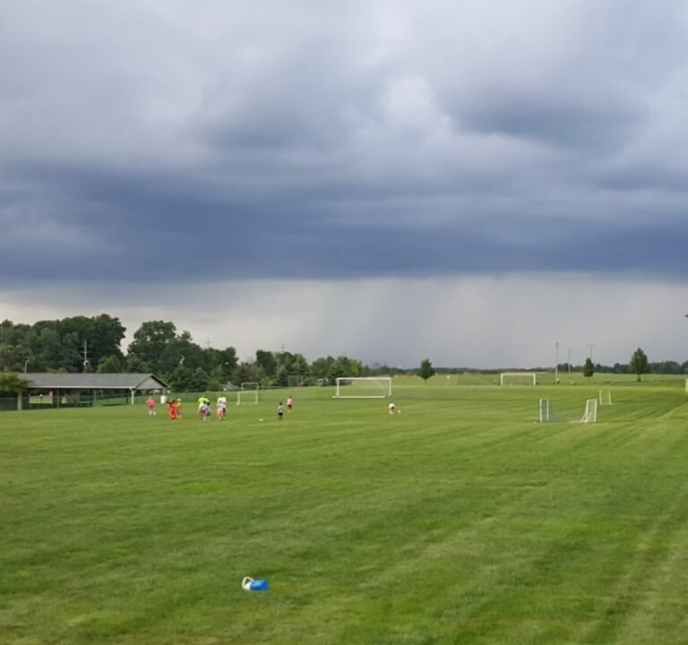 Soccer Field image 2