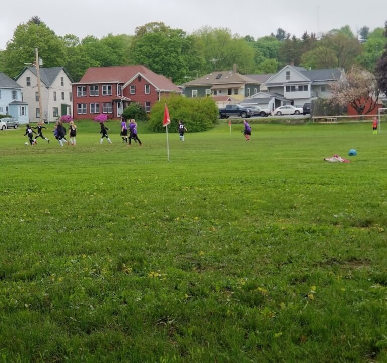 Soccer Field image 2