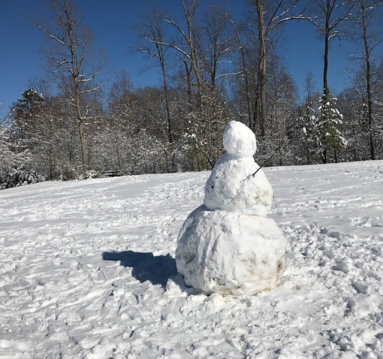Soccer Field image 2