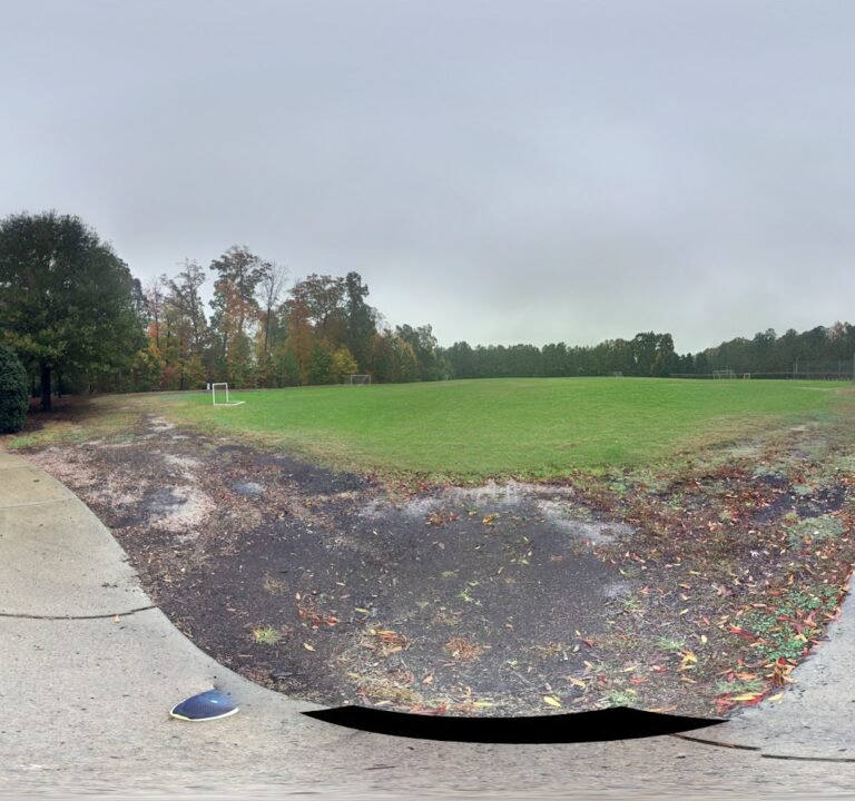 Soccer Field image 3