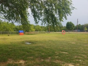 Soccer Field image 1