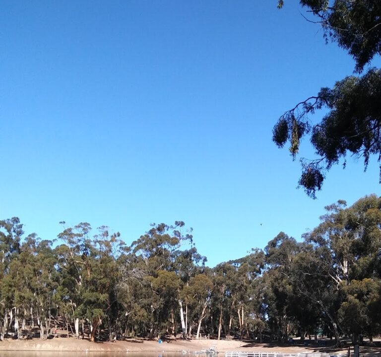 Soccer Field image 3