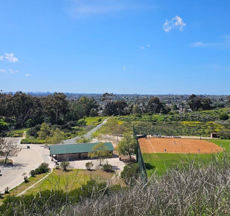Soccer Field image 2