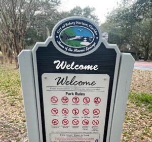 Soccer Field image 3