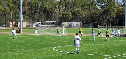 Soccer Field image 1