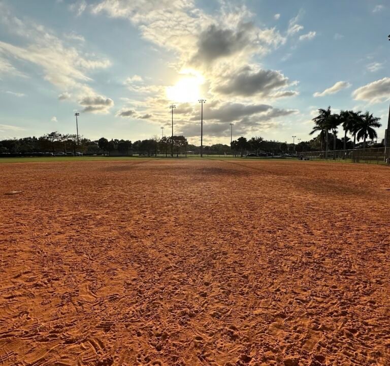 Soccer Field image 2