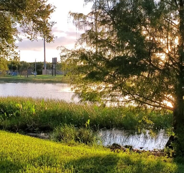 Soccer Field image 3