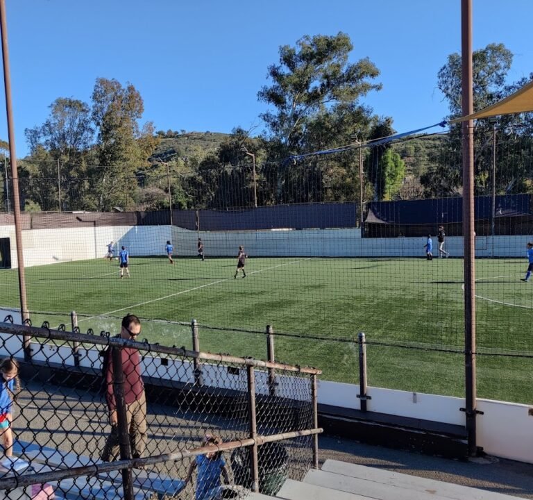 Soccer Field image 2