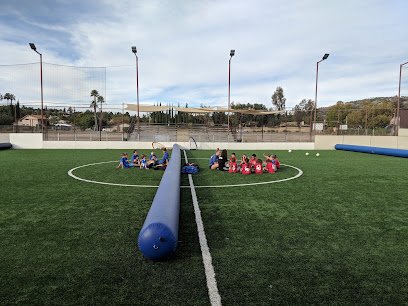Soccer Field image 1