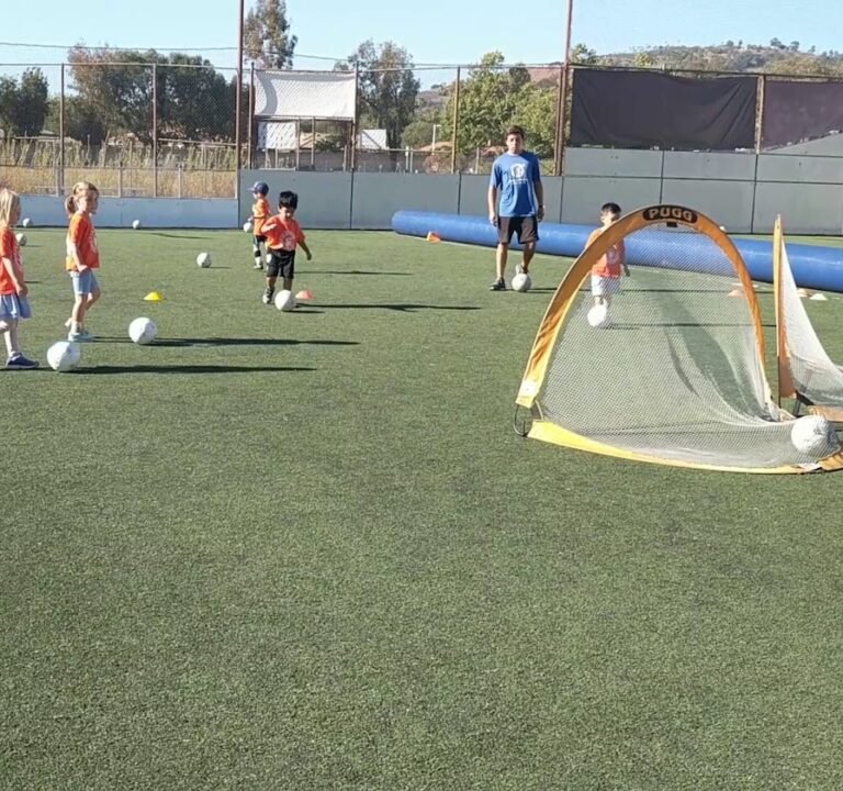 Soccer Field image 3