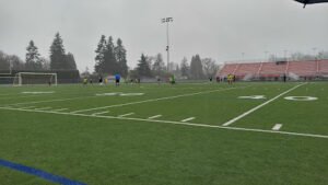 Soccer Field image 1