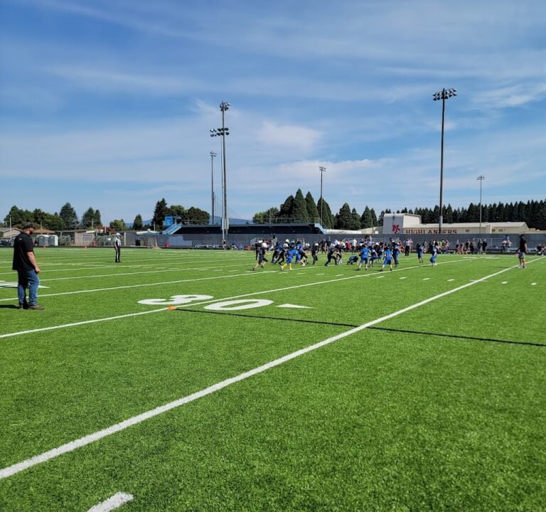 Soccer Field image 2