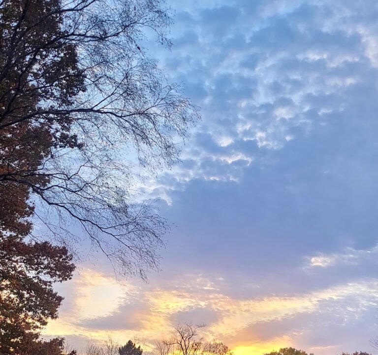Soccer Field image 3