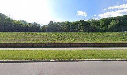 Soccer Field image 1