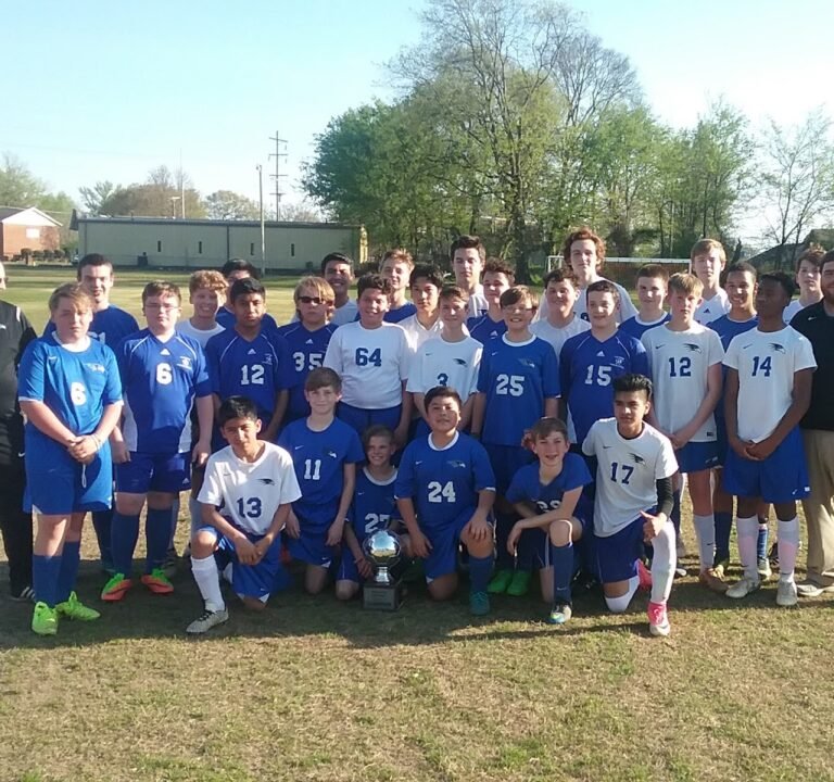 Soccer Field image 4