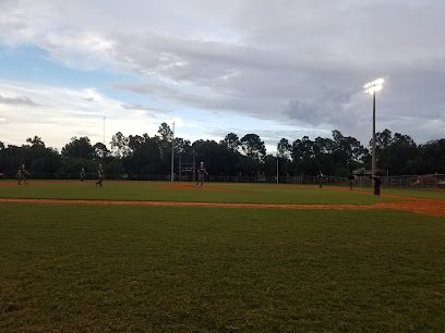 Soccer Field image 1