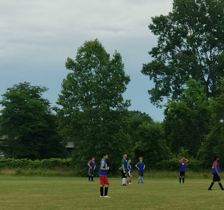 Soccer Field image 4