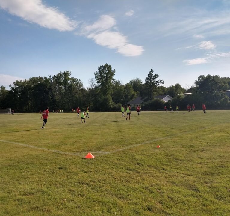 Soccer Field image 2