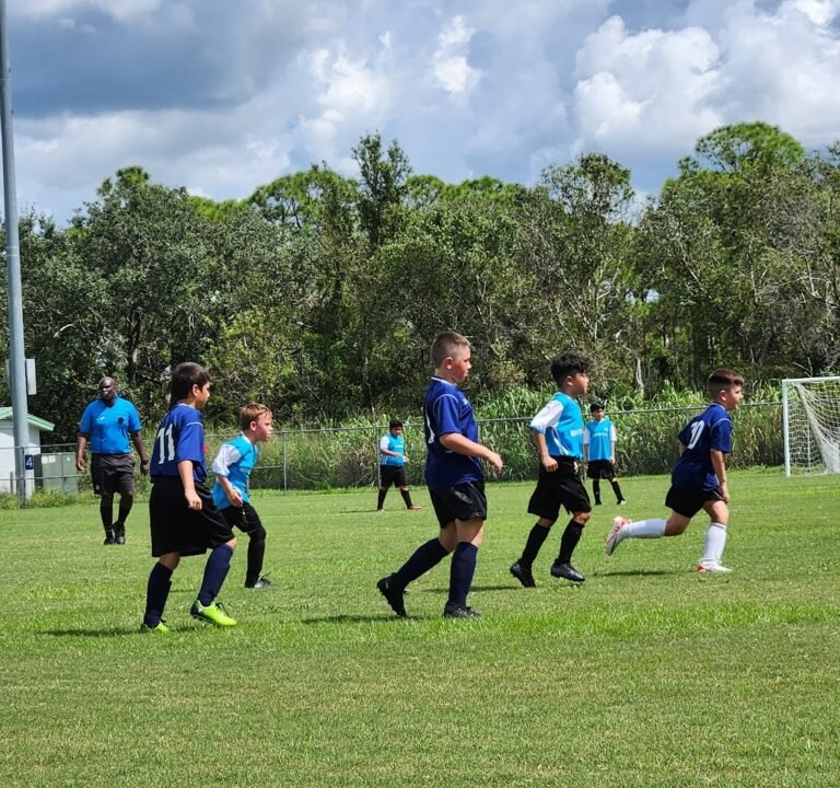 Soccer Field image 2